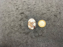 Charger l'image dans la galerie, Magnésite Wild Horse 11