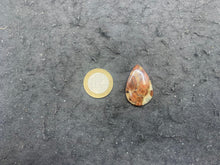 Charger l'image dans la galerie, Obsidienne Peanut 6