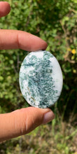 Charger l'image dans la galerie, VENDU Agate Arbre 1