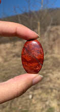 Charger l'image dans la galerie, VENDU Jaspe peau de serpent 1
