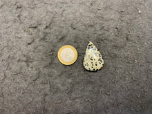 Charger l'image dans la galerie, VENDU Jaspe Dalmatien 6