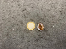 Charger l'image dans la galerie, VENDU Agate de Feu 3