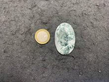 Charger l'image dans la galerie, VENDU Agate Arbre 5