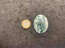 Charger l'image dans la galerie, VENDU Agate Arbre 1