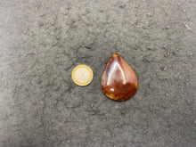 Charger l'image dans la galerie, VENDU Agate 3