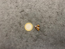 Charger l'image dans la galerie, VENDU Agate de Feu 8