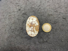 Charger l'image dans la galerie, Magnésite Wild Horse 3