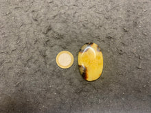 Charger l'image dans la galerie, Septaria 6