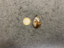 Charger l'image dans la galerie, VENDU Bronzite 3