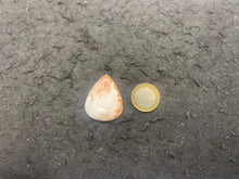 Charger l'image dans la galerie, VENDU Scolécite 16