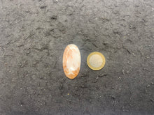 Charger l'image dans la galerie, Scolécite 17