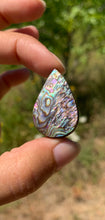 Charger l'image dans la galerie, VENDU Nacre / Abalone 33