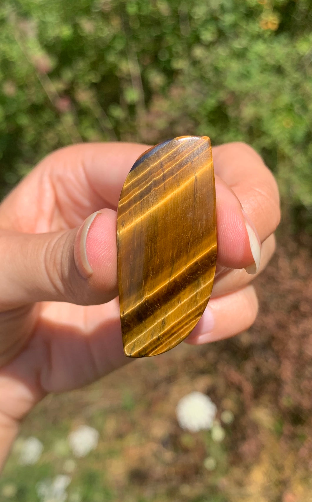 VENDU Oeil de tigre 59