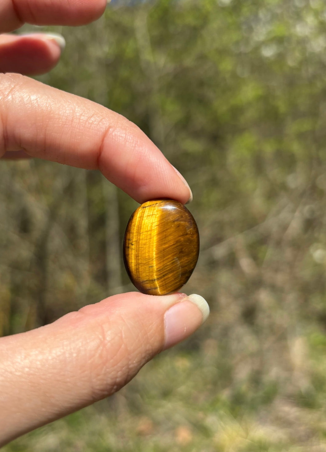 Oeil de tigre 68