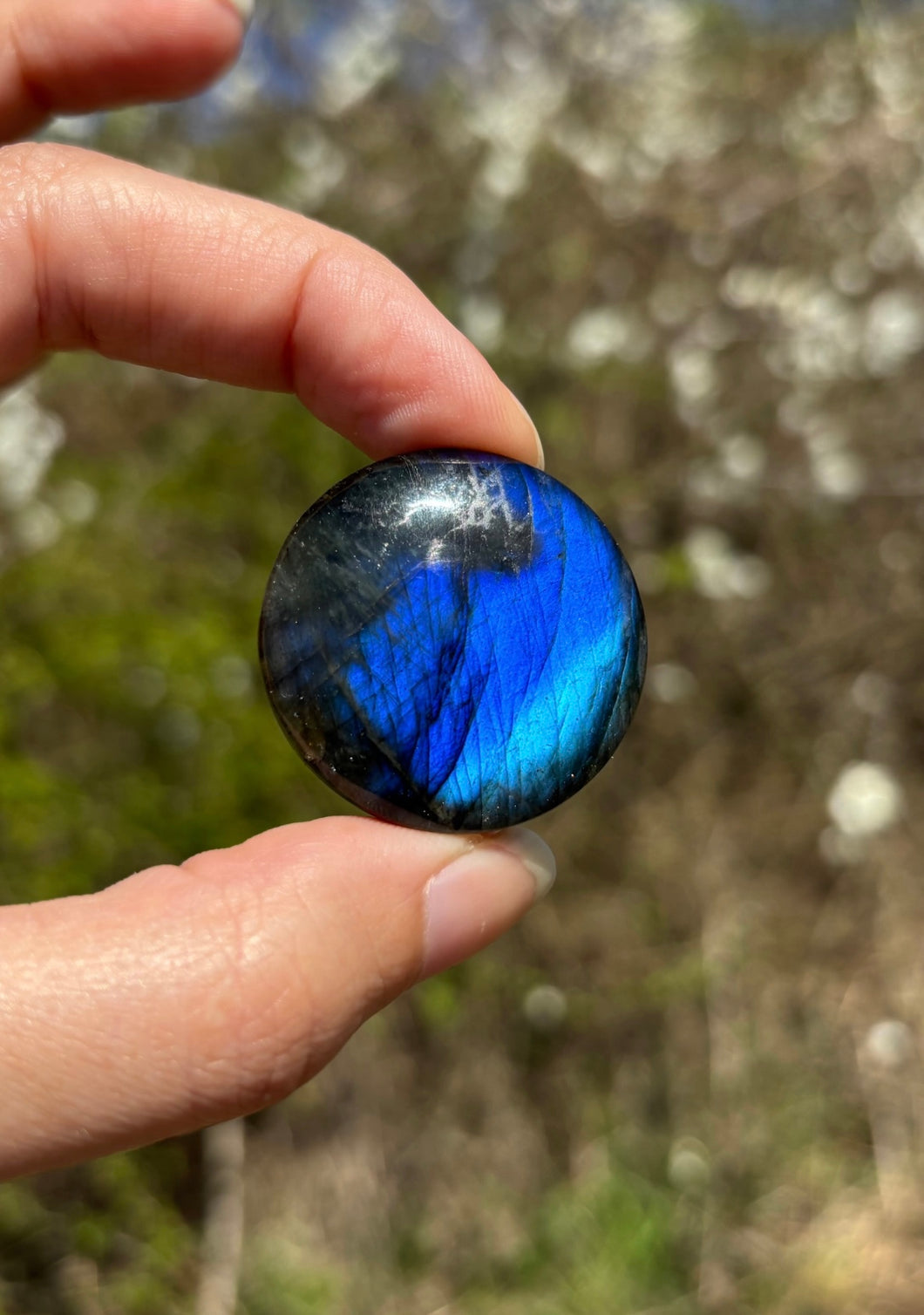Labradorite 317