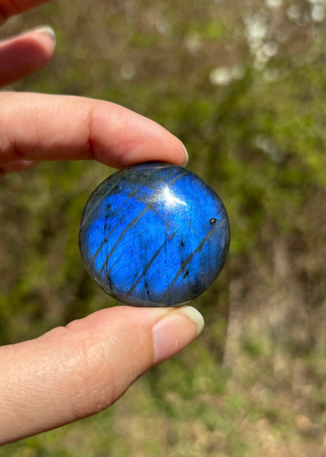 Labradorite 295