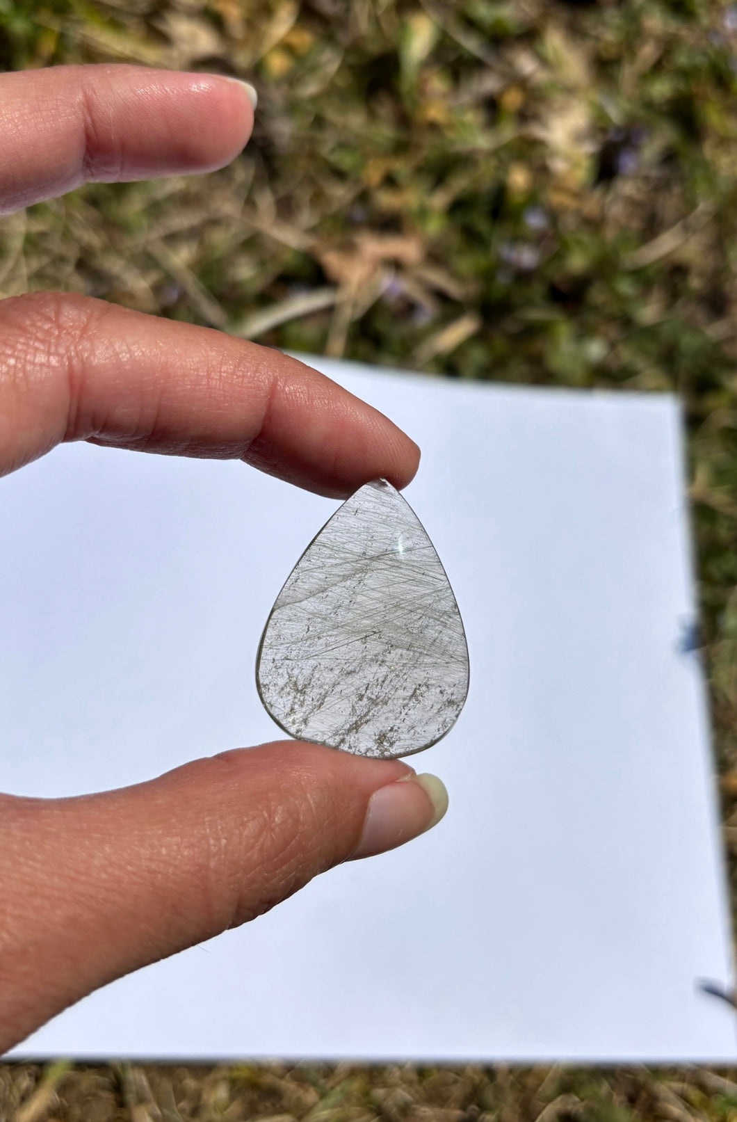 Quartz à Actinolite 8