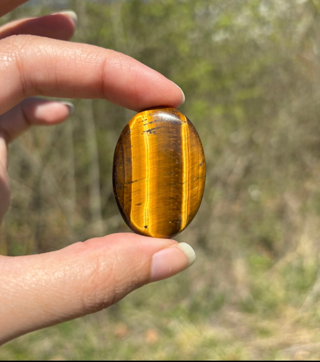 Oeil de tigre 74