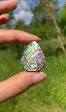 Charger l&#39;image dans la galerie, Abalone 70

