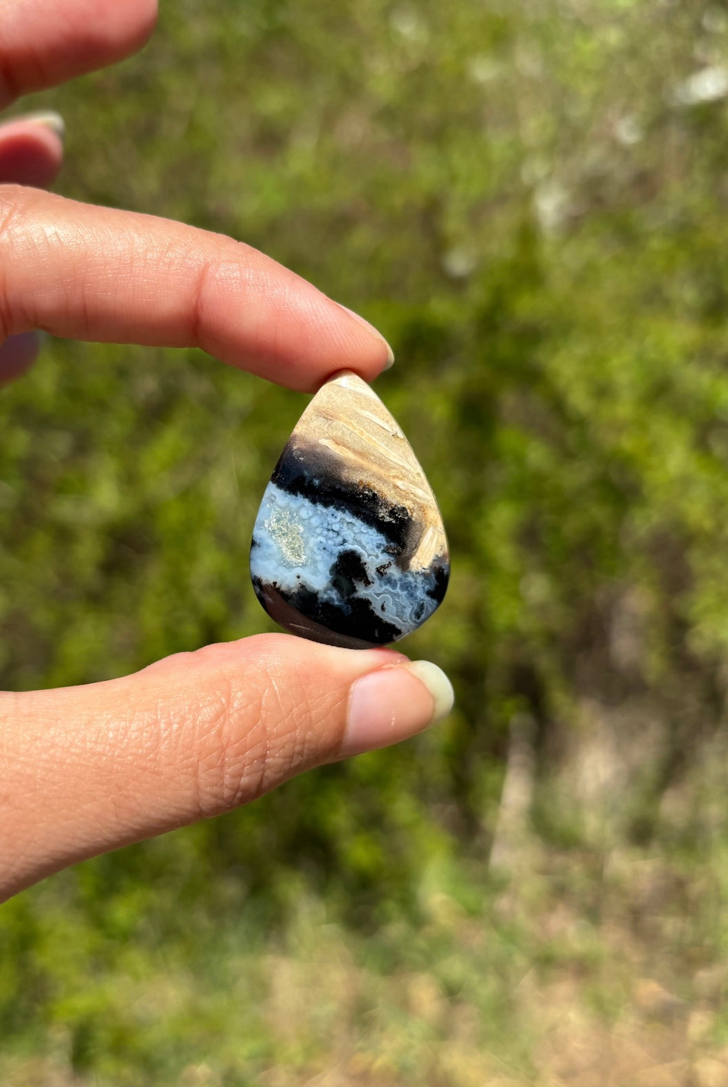 VENDU Bois fossilisé 10