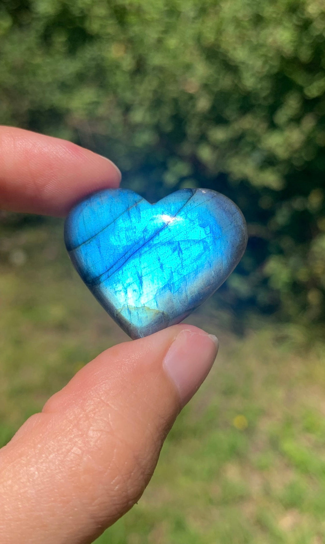 Labradorite 259