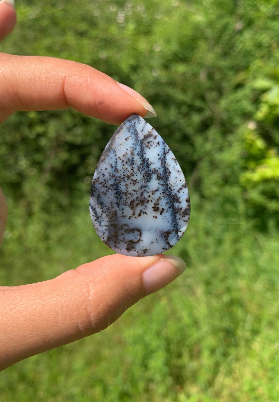 Agate dendritique 67