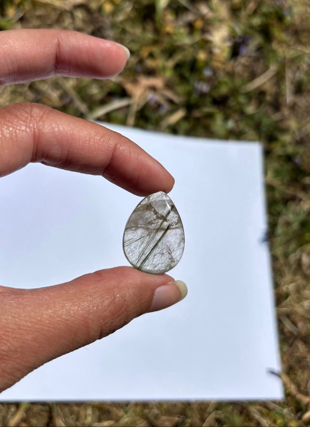Quartz à Actinolite 5