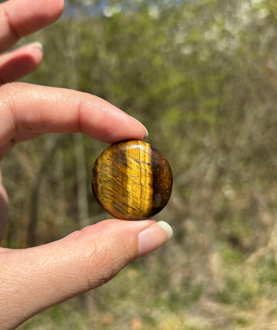Oeil de tigre 67
