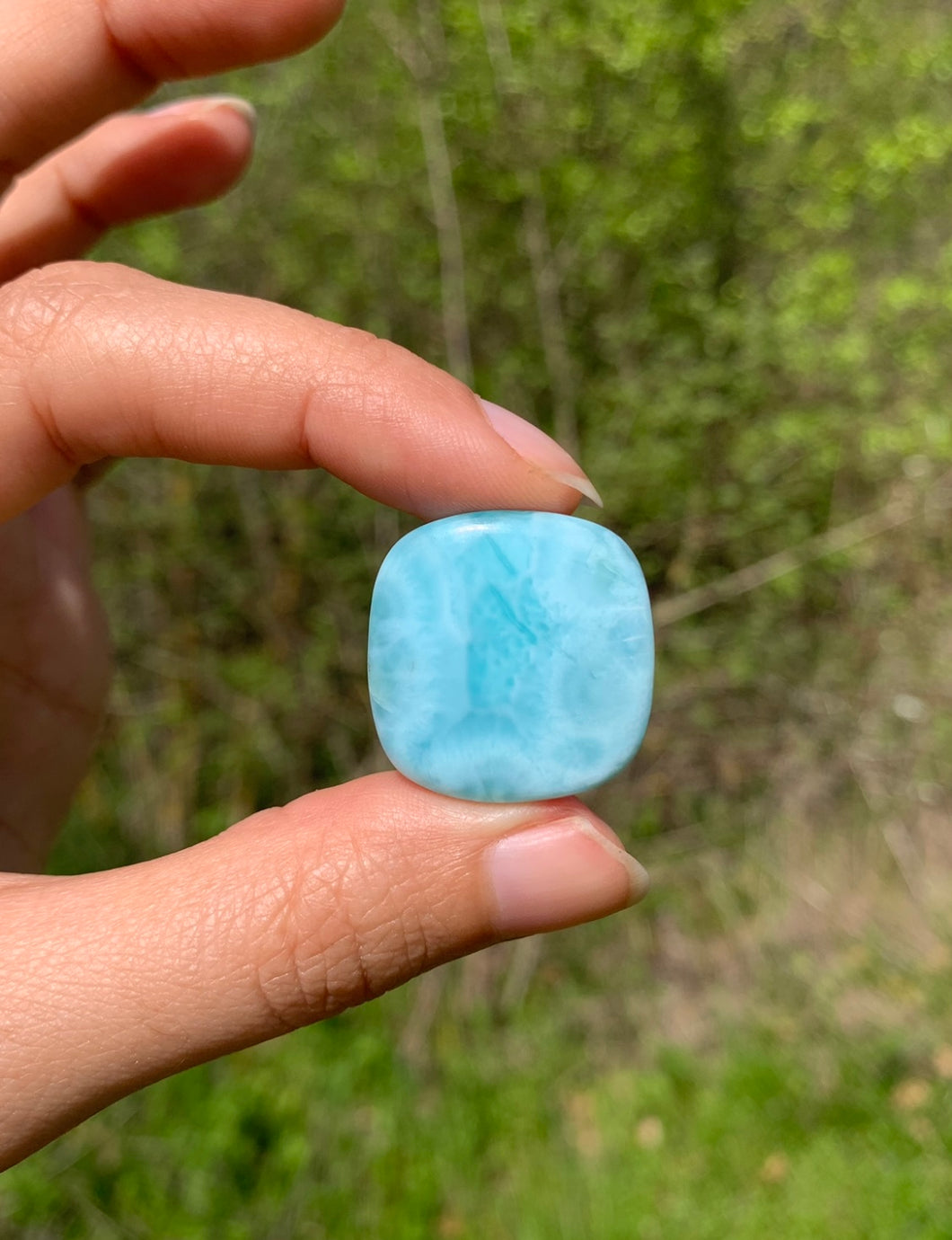 Larimar 23