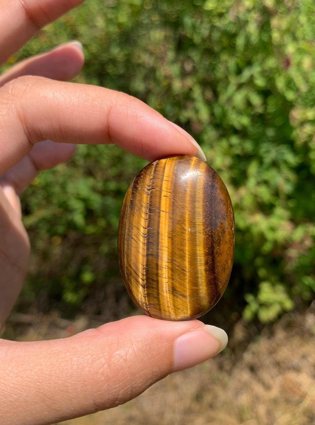 VENDU Oeil de tigre 55