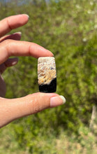 Charger l&#39;image dans la galerie, Bois fossilisé 12
