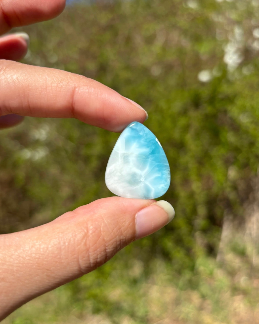 Larimar 39
