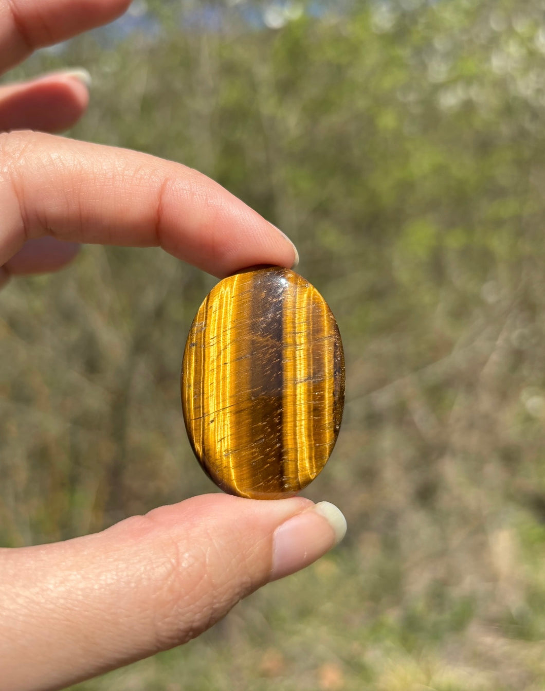 Oeil de tigre 65