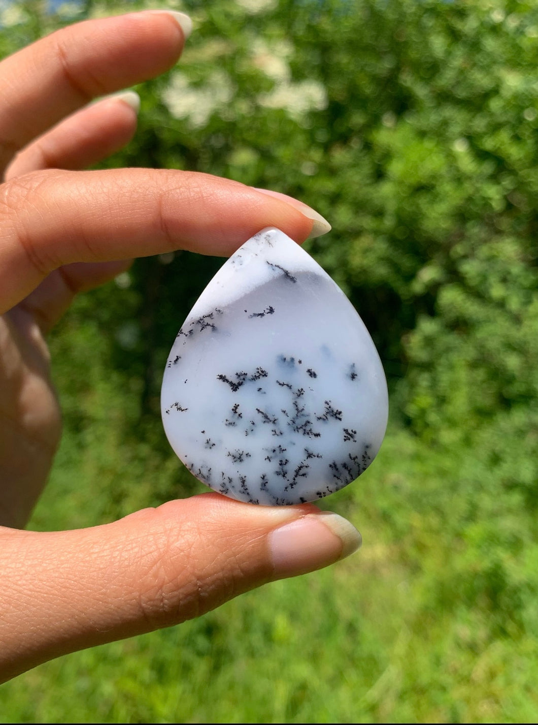 Agate dendritique 36