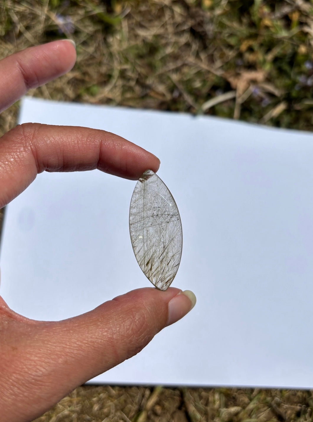 Quartz à Actinolite 4