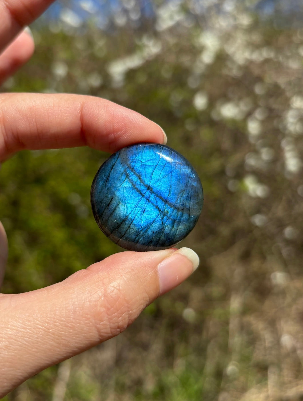 Labradorite 316