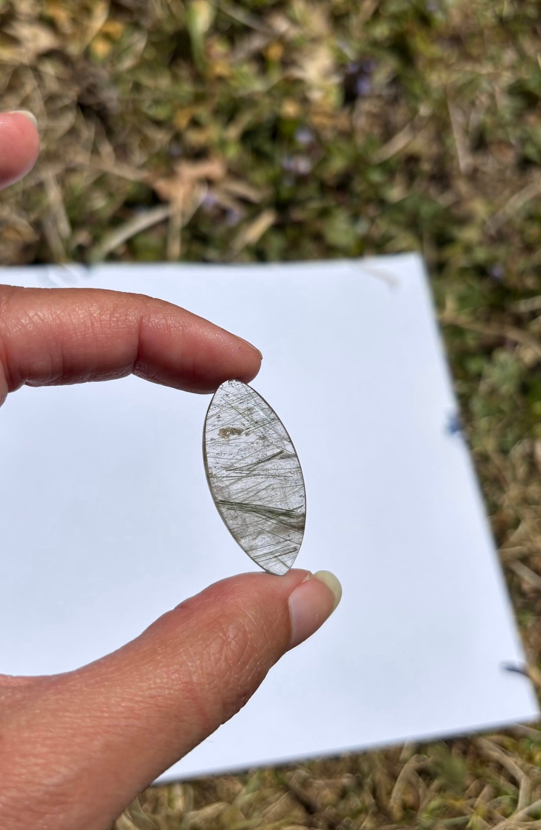 Quartz à Actinolite 3