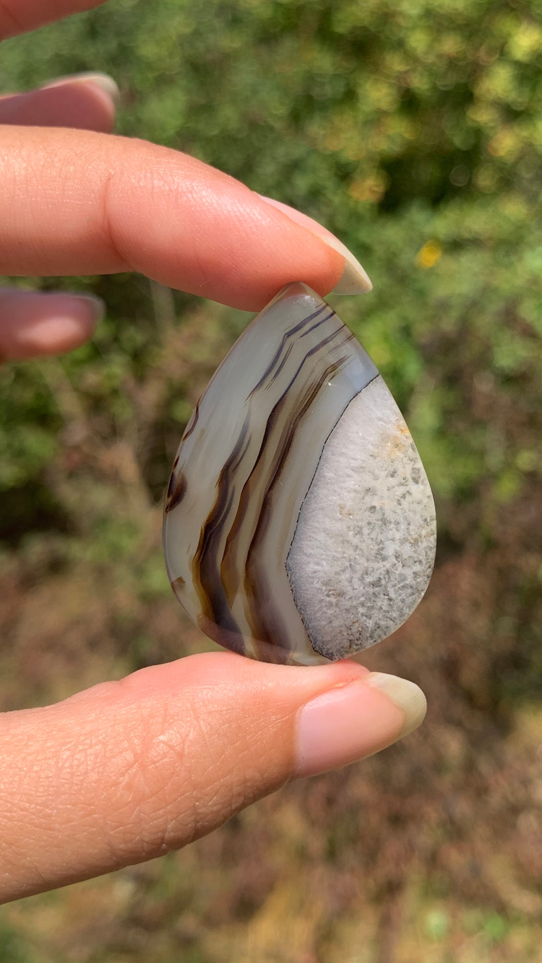 Agate du Montana 3