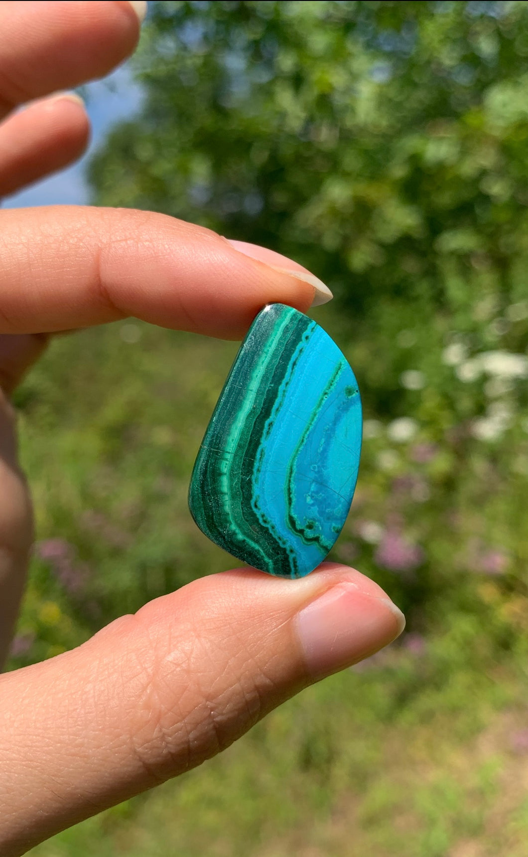 Chrysocolle Malachite 41