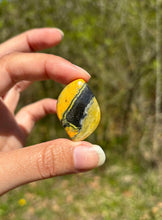 Charger l&#39;image dans la galerie, Jaspe Bumblebee 33
