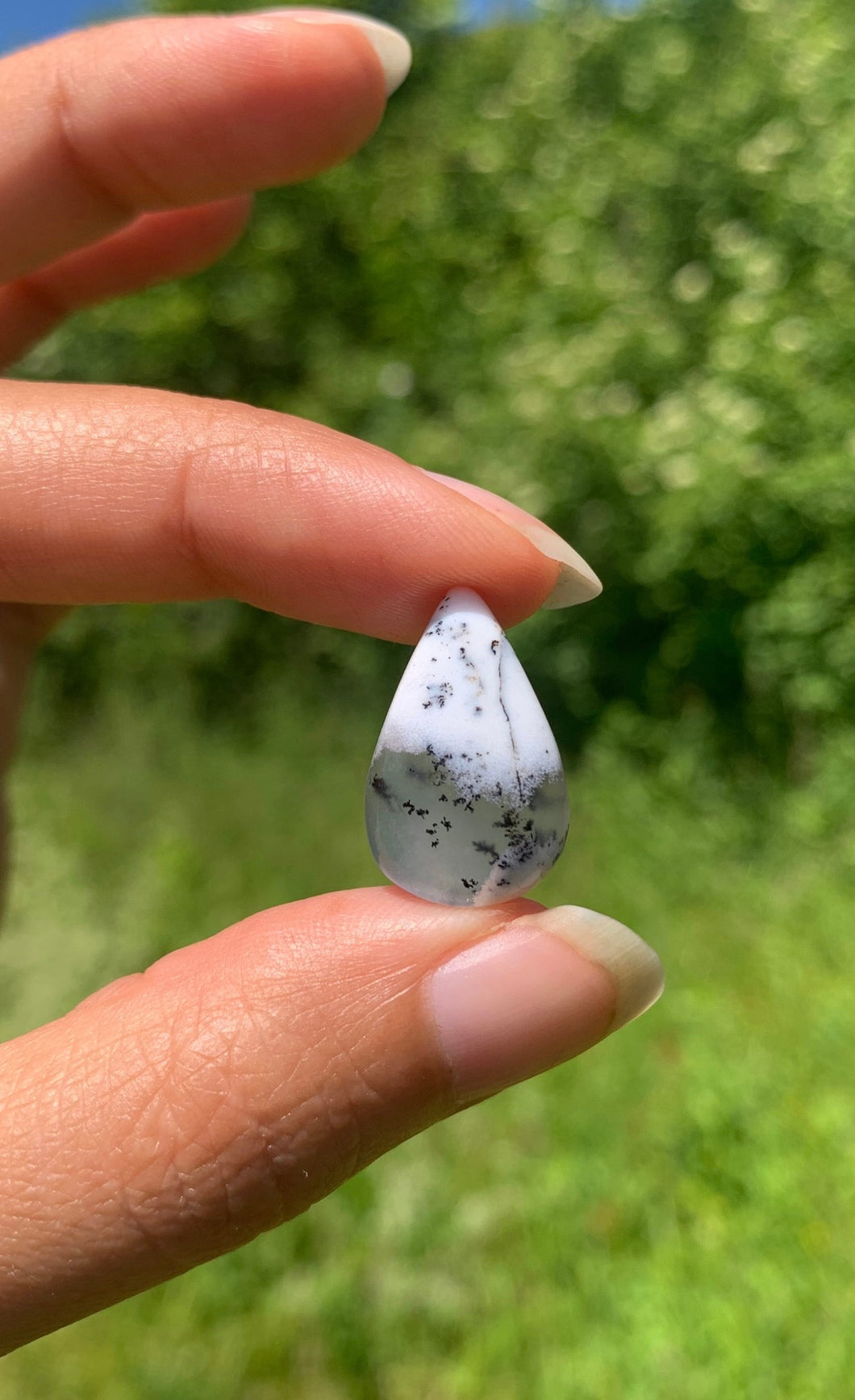VENDU Agate dendritique 43
