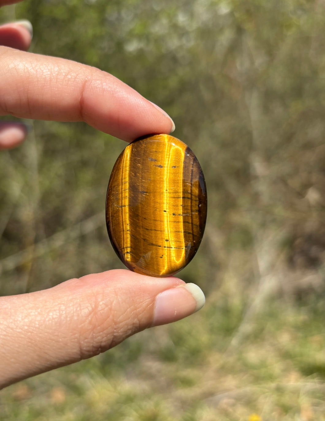Oeil de tigre 73