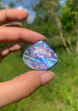 Charger l&#39;image dans la galerie, Abalone 62
