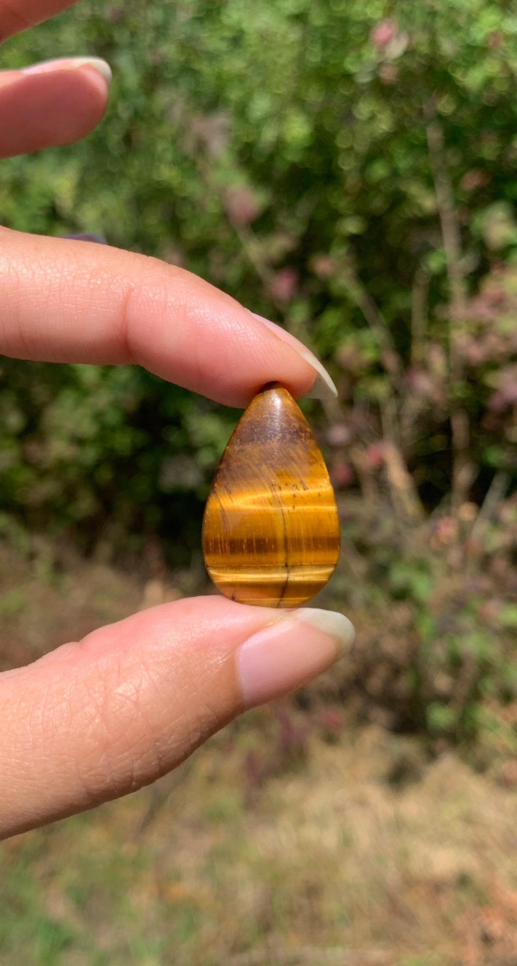 VENDU Oeil de tigre 49