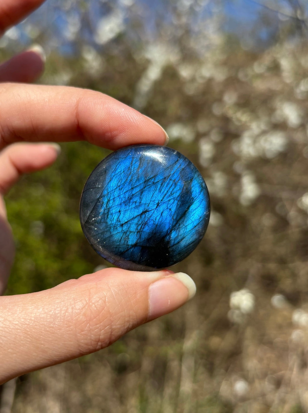 Labradorite 302