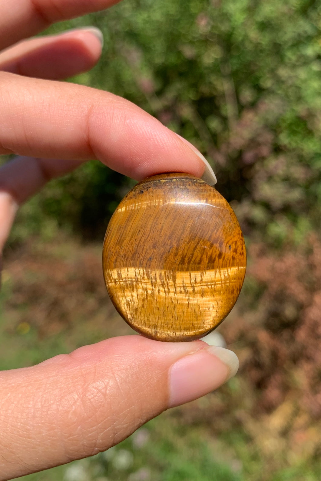 VENDU Oeil de tigre 41