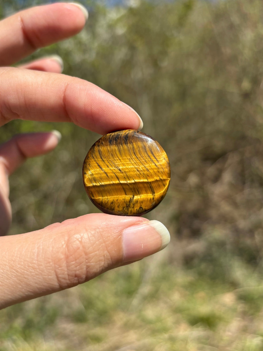 Oeil de tigre 70