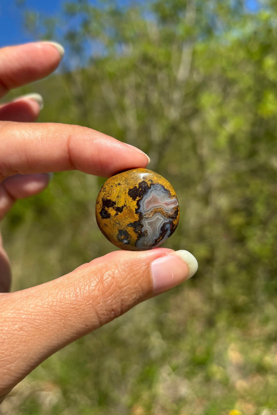 Agate Seam 11