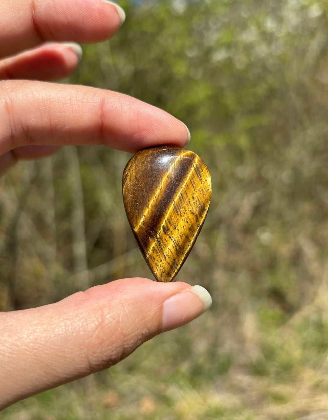 Oeil de tigre 71