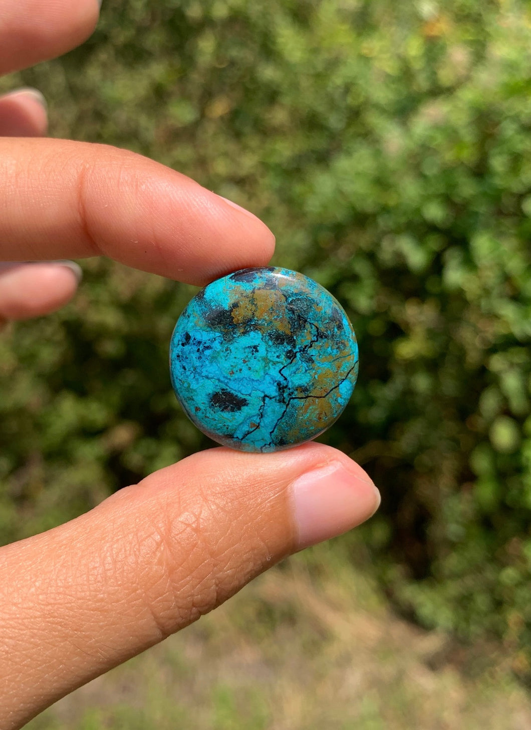 VENDU Chrysocolle 12